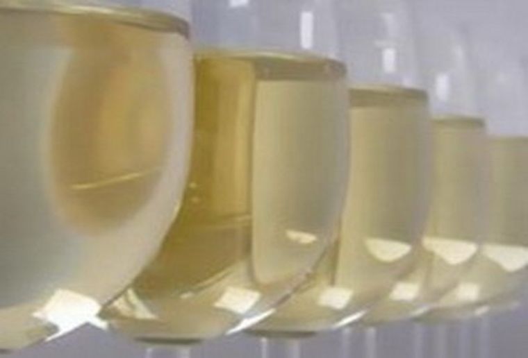 Los vinos blancos crecieron en el paladar del consumidor. Los vinos blancos crecieron en el paladar del consumidor.