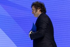 Javier Milei y una batería de medidas para controlar la inflación. Foto: Foro Davos