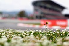 Foto: https://www.formulaf1.es/