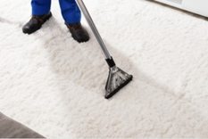 Los mejores tips de desinfección para eliminar las bacterias del hogar Foto: Shutterstock