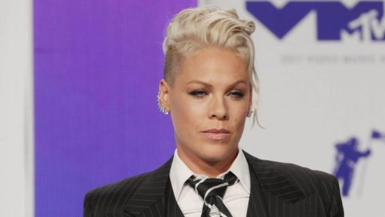 Foto: https://www.20minutos.es/noticia/3698299/0/pink-responde-reproches-llevar-hijo-zoologico-recuerdo-pedir-opinion/