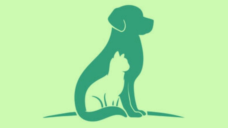 Test de personalidad