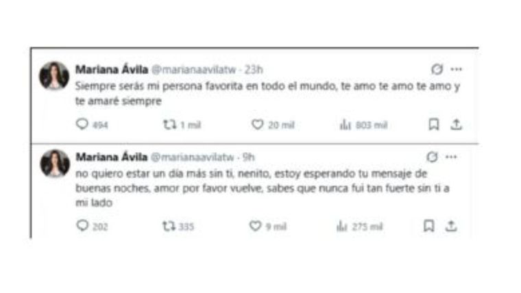 Mariana Ávila se despidió de su novio en redes. Mariana Ávila se despidió de su novio en redes.