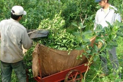 El gobernador de Misiones señaló que la caída de dicho decreto perjudica seriamente a miles de trabajadores.