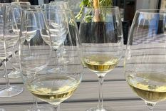 La temperatura de los vinos en verano, un factor clave.&nbsp;