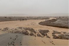 La cantidad de agua que cayó casi iguala el récord de 37,3 milímetros Foto: REUTERS
