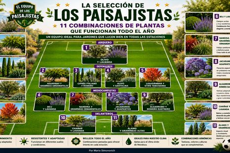 Como un equipo de fútbol del Mundial, estas 11 combinaciones de plantas ocupan distintas posiciones en el jardín y demuestran cómo árboles, gramíneas y aromáticas pueden funcionar en conjunto durante las cuatro estaciones. Como un equipo de fútbol del Mundial, estas 11 combinaciones de plantas ocupan distintas posiciones en el jardín y demuestran cómo árboles, gramíneas y aromáticas pueden funcionar en conjunto durante las cuatro estaciones.