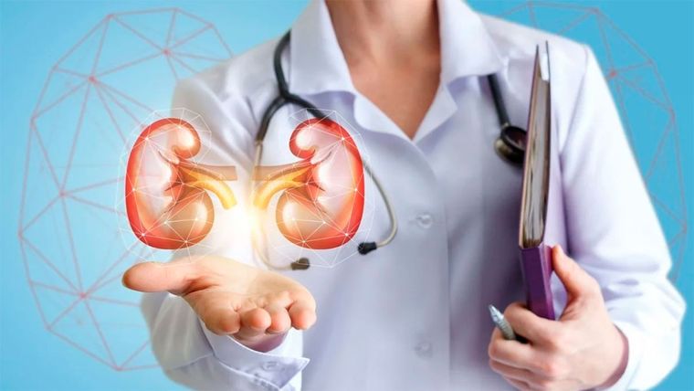 Millones de personas en todo el mundo viven con enfermedad renal. Millones de personas en todo el mundo viven con enfermedad renal.