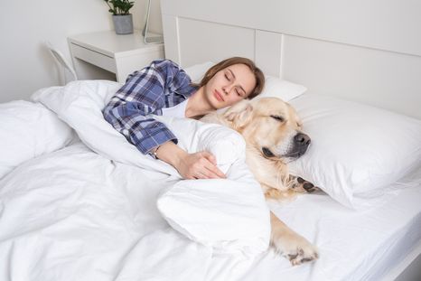 Por qué no es recomendable dormir con el perro, según un adiestrador. Foto: Shutterstock