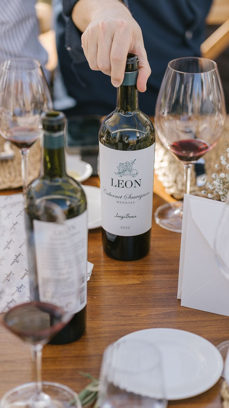 Un nuevo cabernet sauvignon en el mercado. Un nuevo cabernet sauvignon en el mercado.