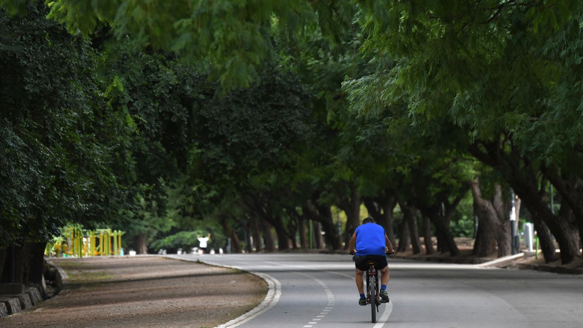 Un reconocido médico mendocino sufrió un brutal robo en el parque San Martín: lo apedrearon para quitarle su bicicleta