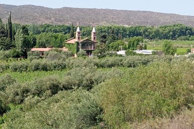 MDZol | Foto José Rey