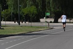 Siguen los días cálidos en Mendoza.