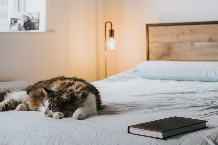 La psicología del color tiene una influencia sobre el estado de ánimo de las personas. Foto: Pexels