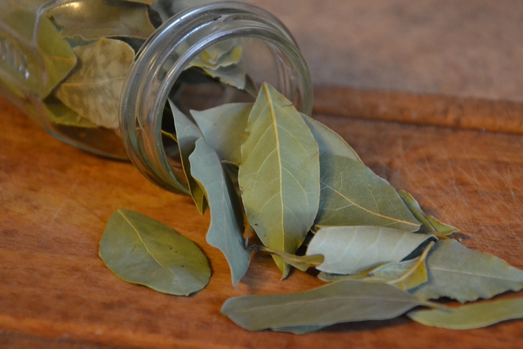 Un truco simple, natural y sin gastar de más: la hoja de laurel puede ser tu mejor aliada en la heladera.