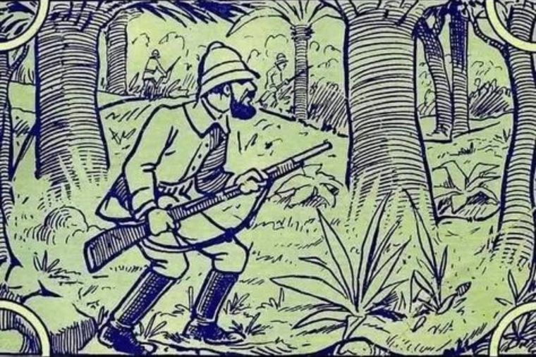 Reto visual, elefante