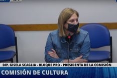 diputados analiza la prohibicion de embargos a las bibliotecas populares