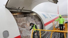 El envío de la vacuna contra el coronavirus será el mayor desafío de transporte jamás enfrentado, dice la IATA. Foto: BBC