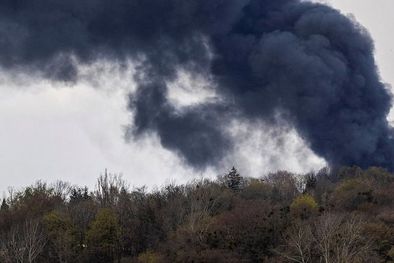 MDZol | Foto: REUTERS