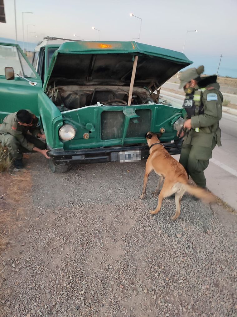 En el allanamiento participó un can especializado. Foto: Gentileza Gendarmería Nacional.