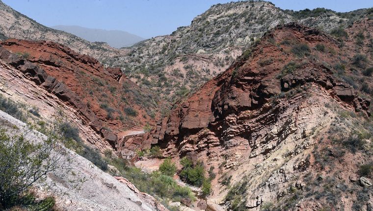 Foto: ALF PONCE MERCADO / MDZ