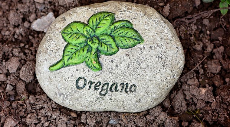 Foto: Pixabay - pixabay.com