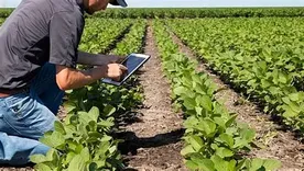 El acceso a información en tiempo real permite al productor monitorear sus operaciones de manera más estratégica.