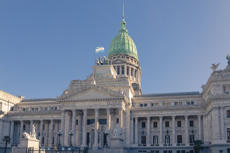 Juana Molina llam&oacute; a marchar al Congreso para manifestarse contra la Ley de Tierras.