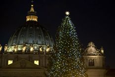 como es el imponente arbol de navidad del vaticano como es el imponente arbol de navidad del vaticano