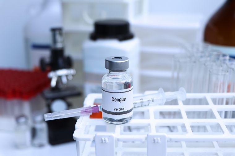 La vacuna contra el dengue podrá solicitarse desde este miércoles para los vecinos porteños de entre 15 y 19 años Foto: Shutterstock