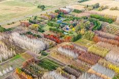 Se ubica a aproximadamente 180 km de la Ciudad de Buenos Aires. Foto: InfoCielo