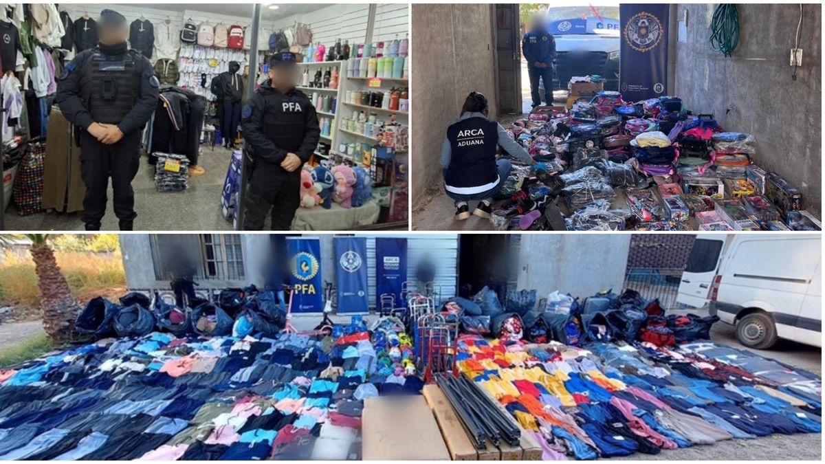 Golpe al contrabando en Mendoza: cayó una banda que ingresó $400 millones en mercadería ilegal desde Chile