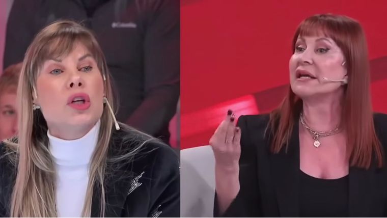 La discusión entre la diputada y la asesora de moda se dio por la regulación de refugios y criaderos de animales. La discusión entre la diputada y la asesora de moda se dio por la regulación de refugios y criaderos de animales.