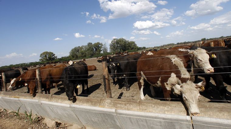 Foto: Infosurhoy.com