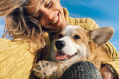 Argentina figura entre los países con mas perros del mundo. Argentina figura entre los países con mas perros del mundo.