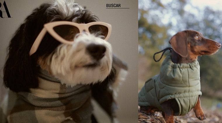 Foto: Instagram Zara Official