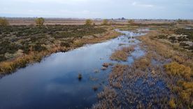 El Senado dio media sanción a un proyecto para expropiar un terreno y crear un humedal artificial en Los Corralitos.