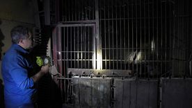 La bodega Arizu, en el corazón de Mendoza. La bodega Arizu, en el corazón de Mendoza.