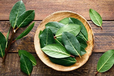 El laurel aporta un aroma intenso que ayuda a perfumar ambientes cerrados. Foto: Archivo El laurel aporta un aroma intenso que ayuda a perfumar ambientes cerrados. Foto: Archivo