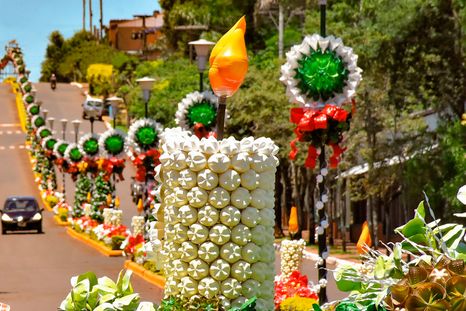 Capioví, el pueblo misionero que se ilumina cada diciembre con miles de adornos reciclados. Capioví, el pueblo misionero que se ilumina cada diciembre con miles de adornos reciclados.