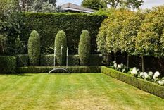 El césped, las plantas y los árboles crecen por naturaleza y, por lo tanto, es necesario cortarlos o podarlos. Cómo proceder durante el otoño. Foto: Future