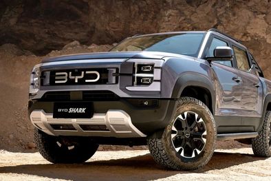 MDZol | BYD Shark DMO