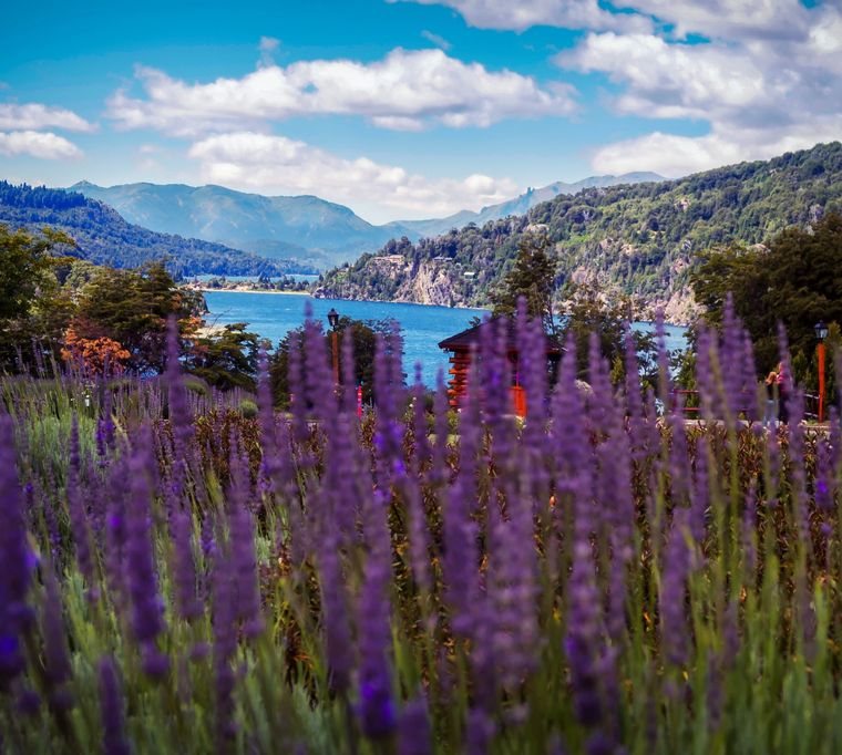 Bariloche es uno de los destinos más elegidos para el próximo fin de semana largo
