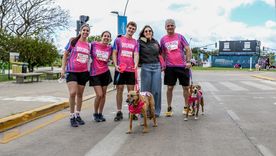 Se viene la 14ª edición de DOGRUN.