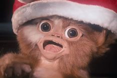 Gremlins 3, Gizmo