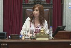 no me tutee: tenso cruce entre cristina y lousteau en el senado