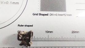 El fósil fue hallado en Campo Spósito, un sitio donde ya se habían descubierto restos de mamíferos extintos y otros peces prehistóricos. Foto: EFE/ Museo Paleontológico De San Pedro