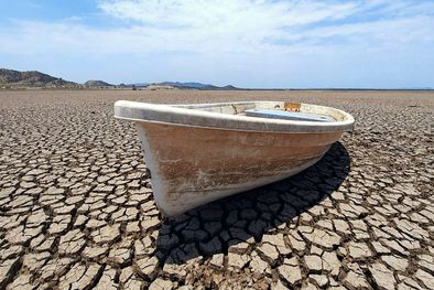 MDZol | Santa Fe podría declarar la Emergencia agropecuaria Foto: EFE