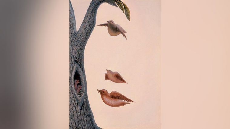 Test de personalidad Foto: Pinterest