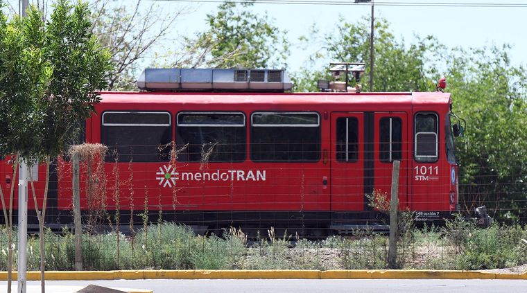 Foto: ALF PONCE MERCADO / MDZ